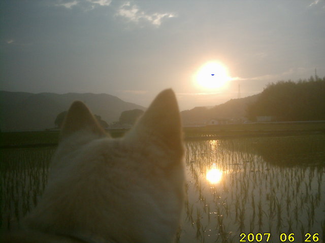 sunset-nobeoka-june-26-2007-whitey-ahner.jpg